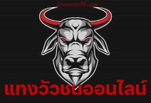 แทงวัว คือ