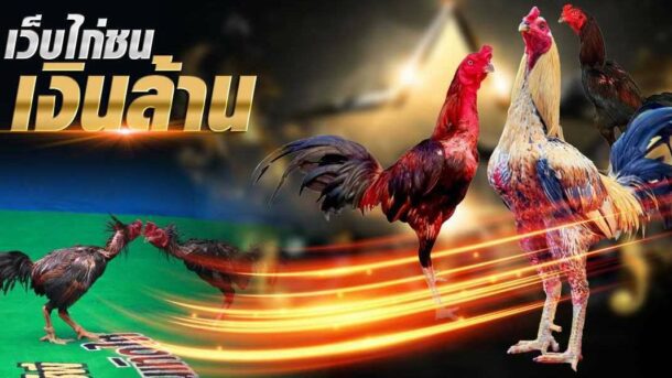 เล่นพนันไก่ชน